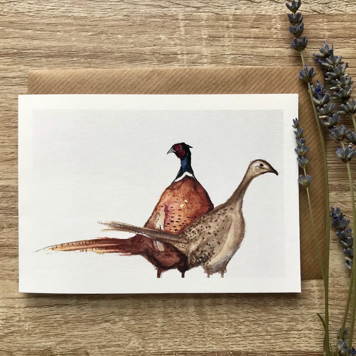 Pheasant Art Print, Country Bird Illustration
