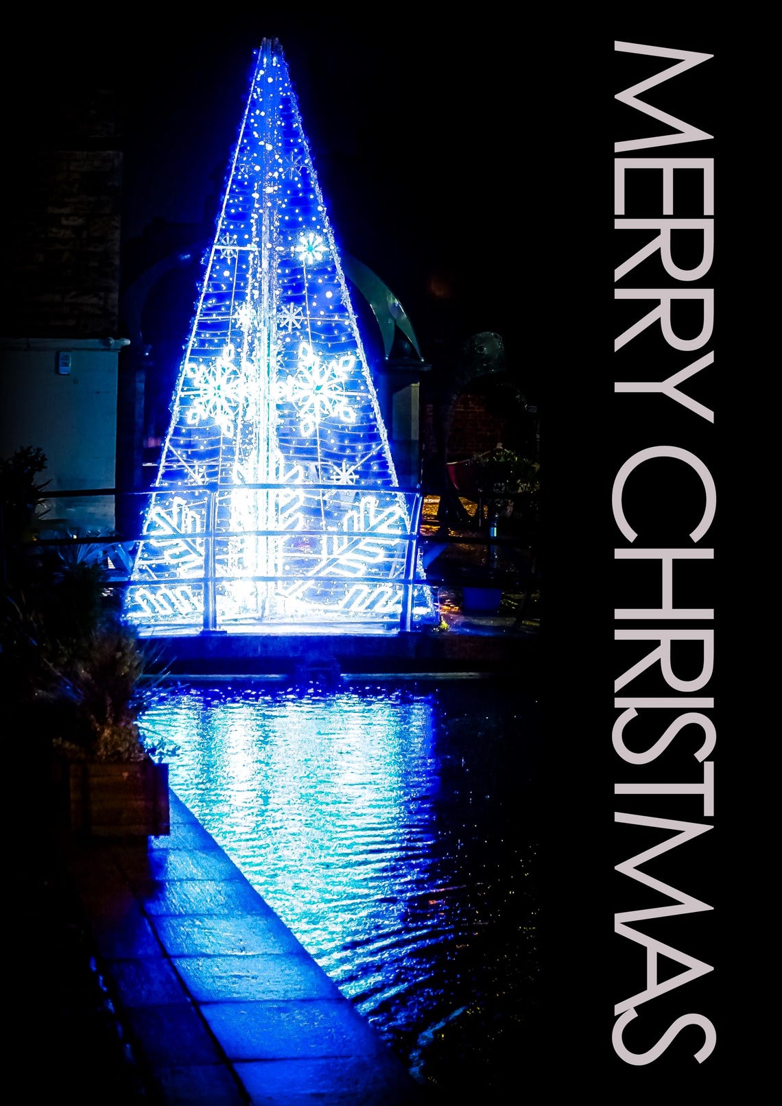 Merry Christmas Blue Lighted Tree Night Holiday Photo Art Poster