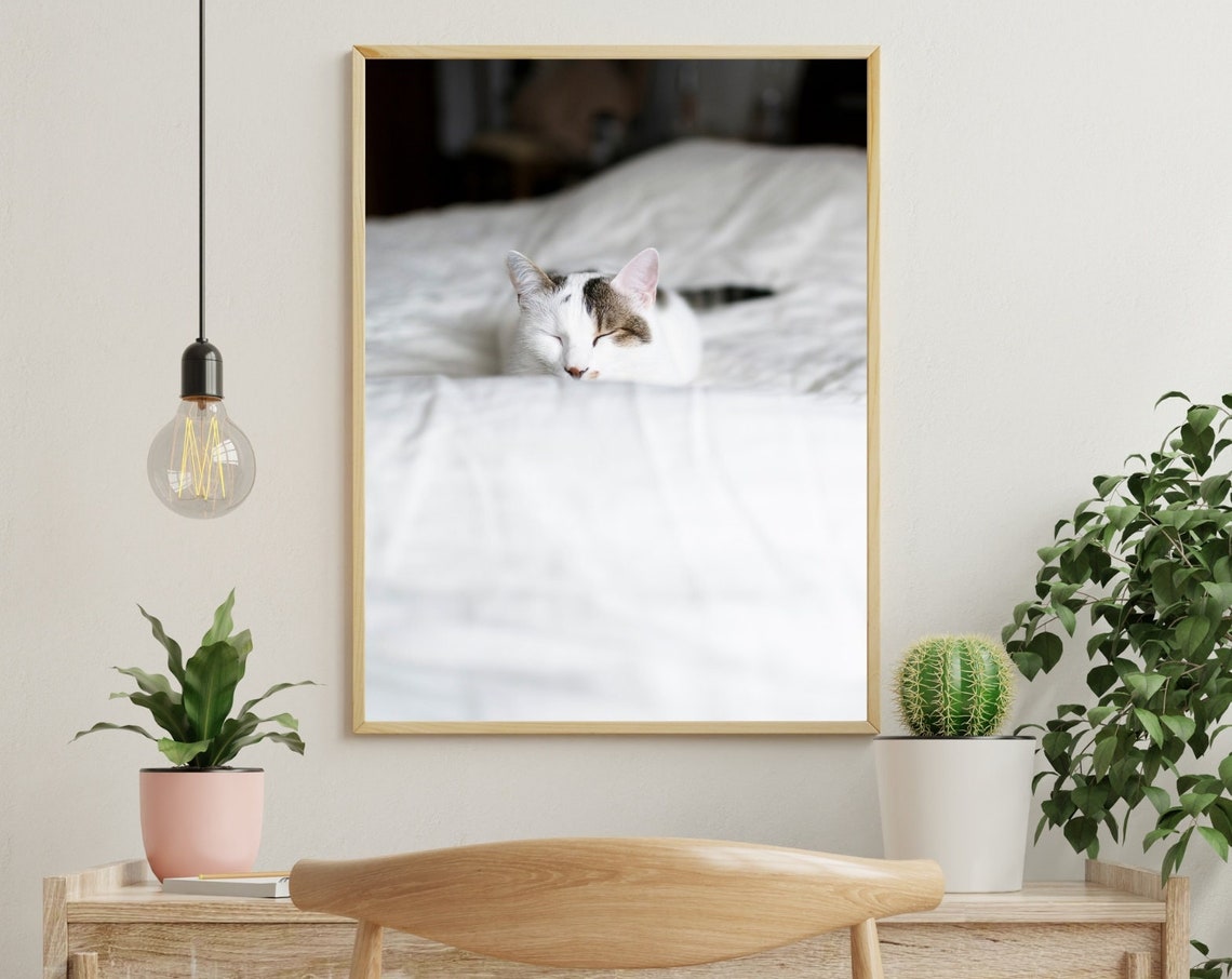 Sleeping White Tabby Cat Cozy White Bedding Pet Photo Poster - Image 4