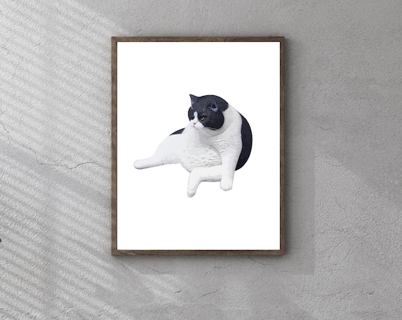 Chubby Black and White Cat Funny Digital Animal Illustration Poster