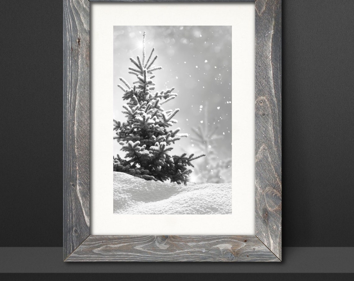 Snowy Evergreen Tree Black White Winter Christmas Photography Poster