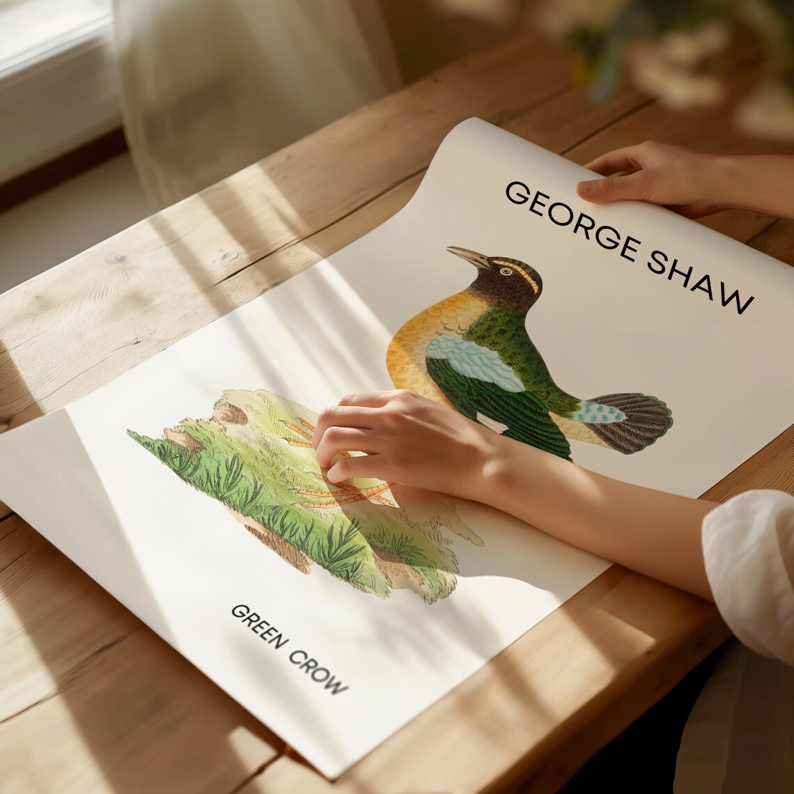 Classic George Shaw Green Crow Vintage Bird Illustration Poster - Image 2