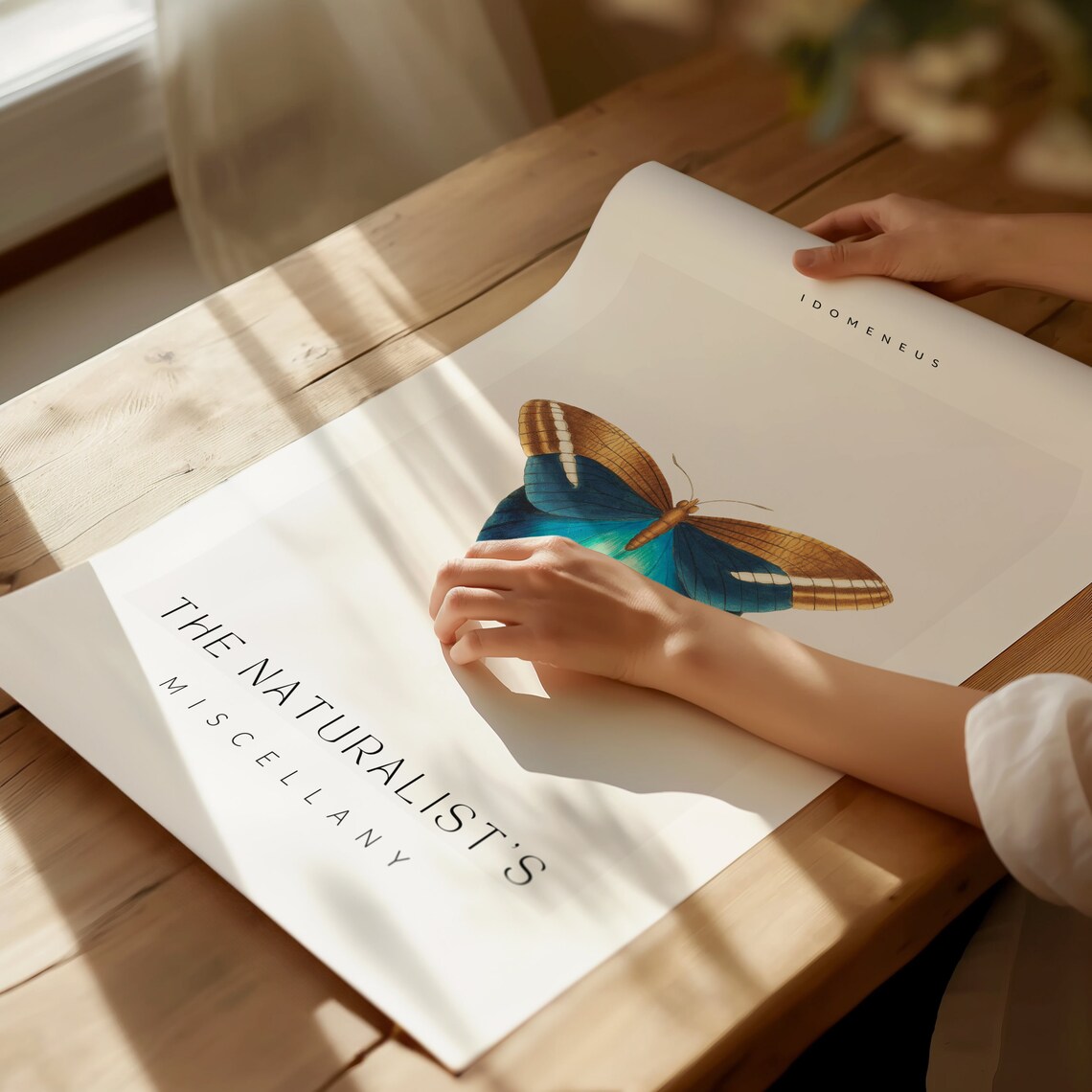 Naturalist Miscellany Butterfly Art Print - Image 2