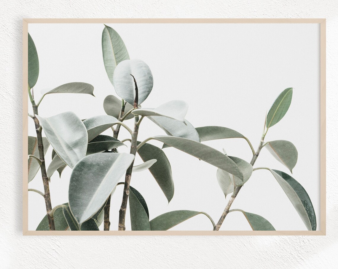 Eucalyptus Botanical Farmhouse Art Print