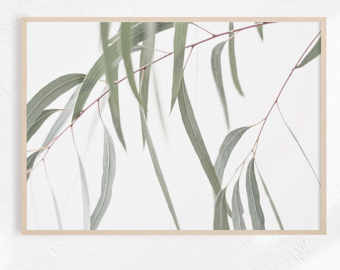 Eucalyptus Botanical Farmhouse Art Print, Horizontal - Image 2