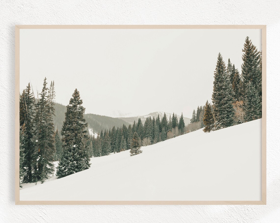 Nature Photography Minimalist Poster Print