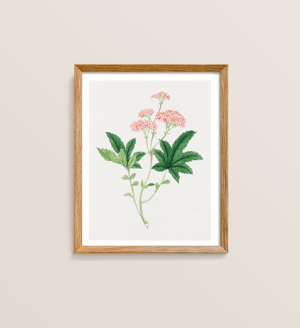 Japandi Botanical Floral Pink Blossoms Minimal Art Illustration Print