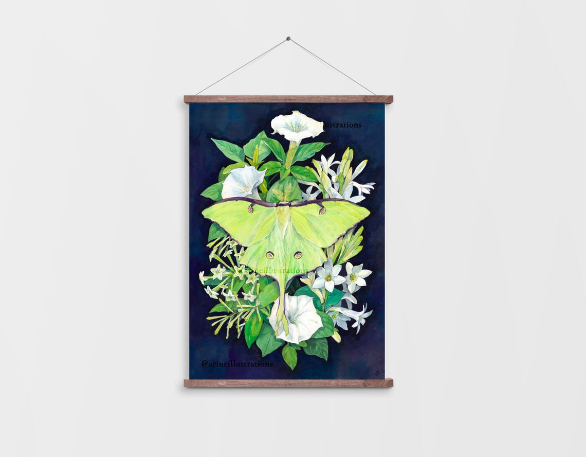 Moth Nocturnal Flowers Poster - Image 4