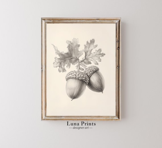 Vintage Acorn Art, Neutral Autumn Wall Decor Print