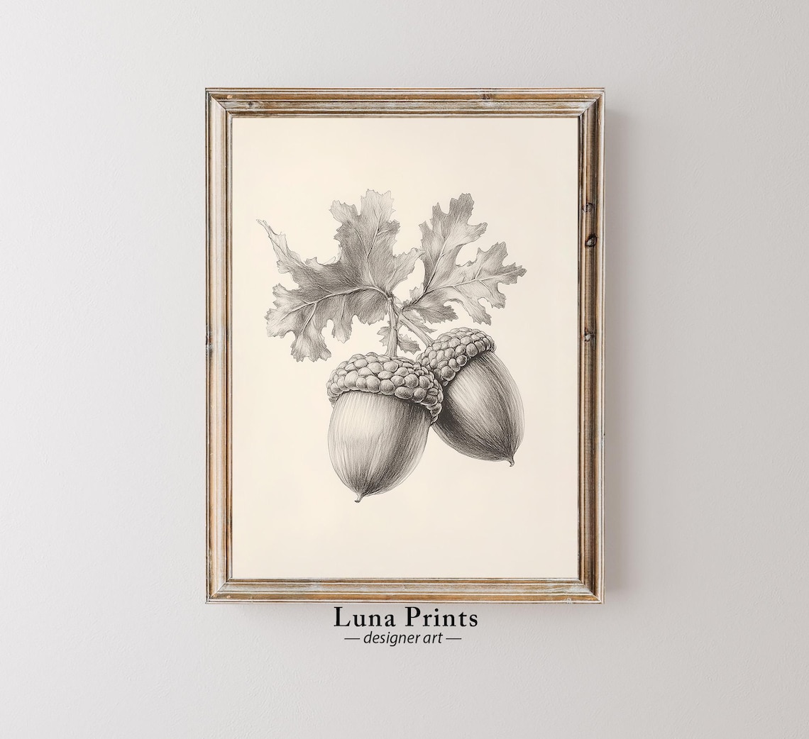 Vintage Acorn Art, Neutral Autumn Wall Decor Print