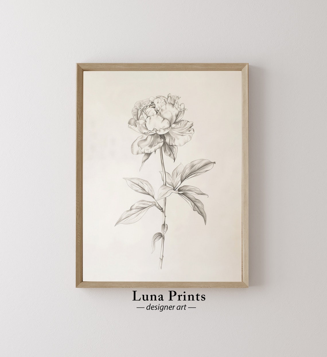Peony Drawing Art, Vintage Botanical Print