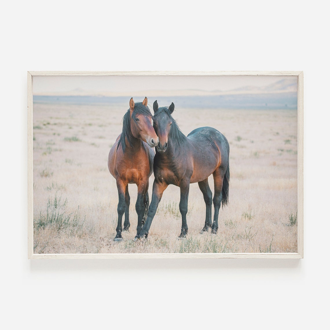 Two Wild Horses Standing Together Desert Grassland Photo Poster