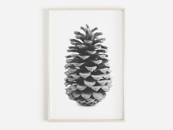 Pinecone Wall Art Winter Minimalist Home Decor Poster Modern Rustic Print Pine Cone Photography Tree