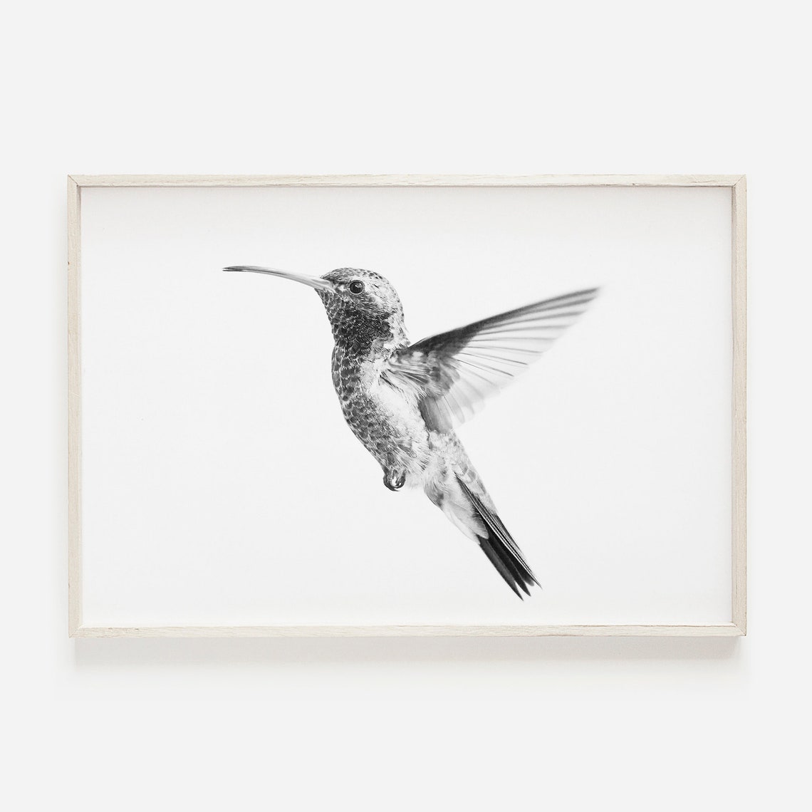 Hummingbird In Flight Black White Minimalist Nature Photo Poster
