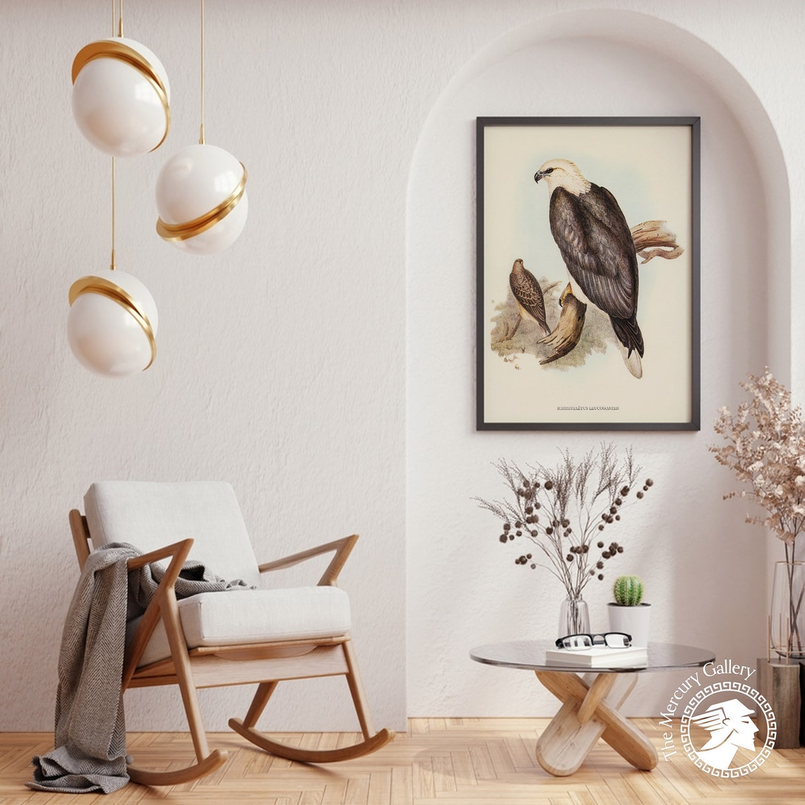 Vintage White-Bellied Sea Eagle Pair Antique Bird Of Prey Art Print - Image 4