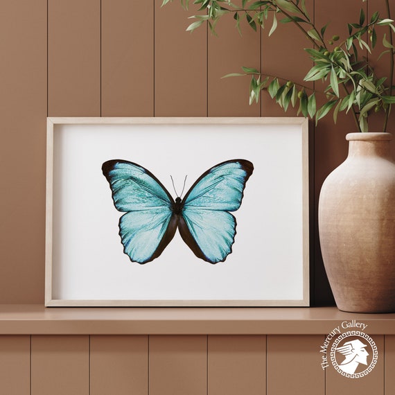Butterfly Wall Decor Girls Room Decor Vintage Decor Retro Prints