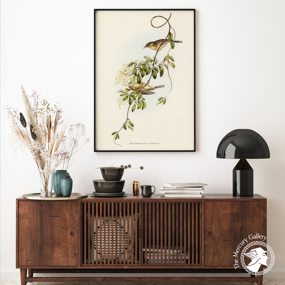 Vintage Lanceolate Honeyeater Pair Antique Bird Illustration Art Print - Image 2