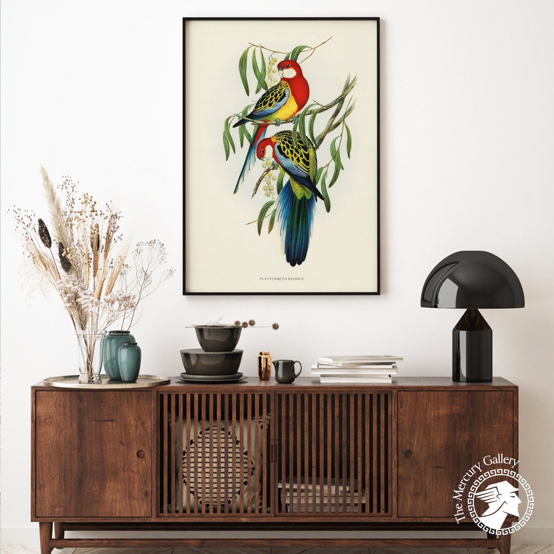 Eastern Rosella Rose Hill Parakeet Vintage Bird Illustration Print - Image 5