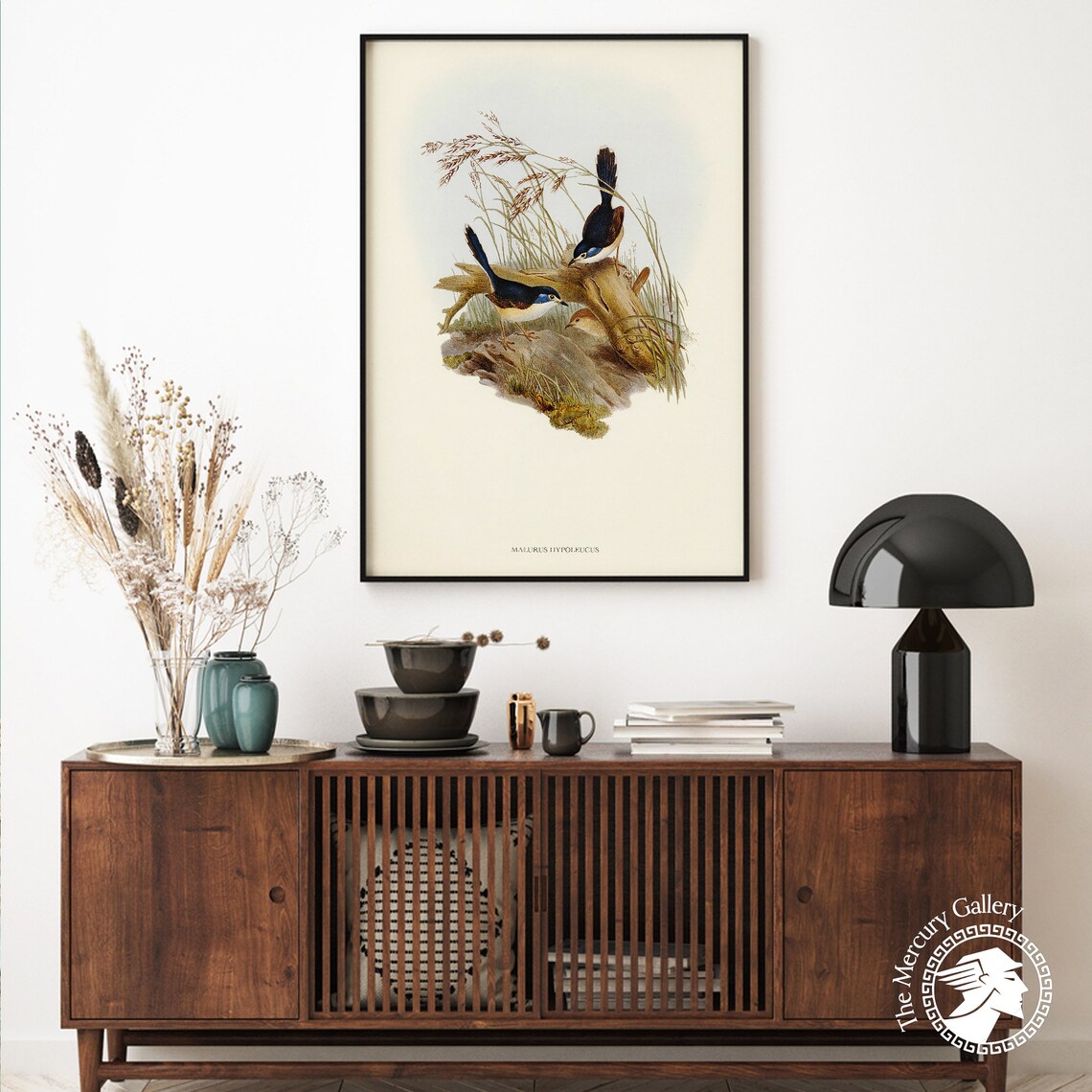 Fawn Breasted Superb Warbler Vintage Bird Illustration Art Print - Image 3