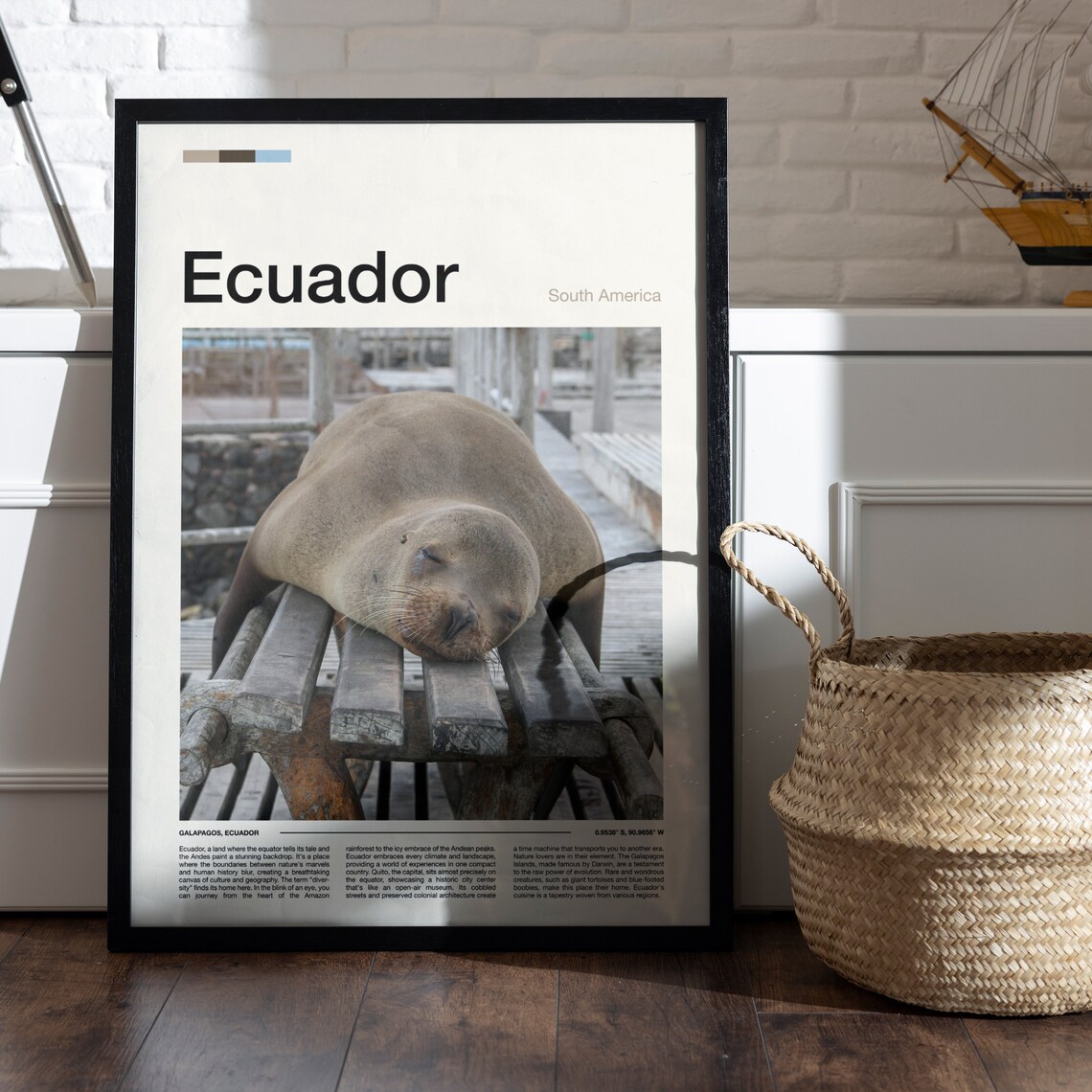 Galapagos Ecuador Sea Lion Wildlife Island Travel Photo Poster - Image 5