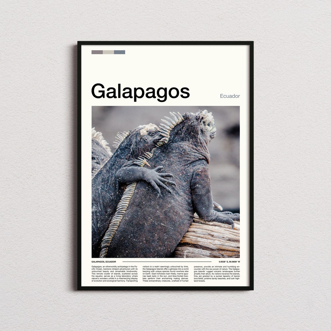 Galapagos Ecuador Marine Iguanas Wildlife Close Up Nature Poster