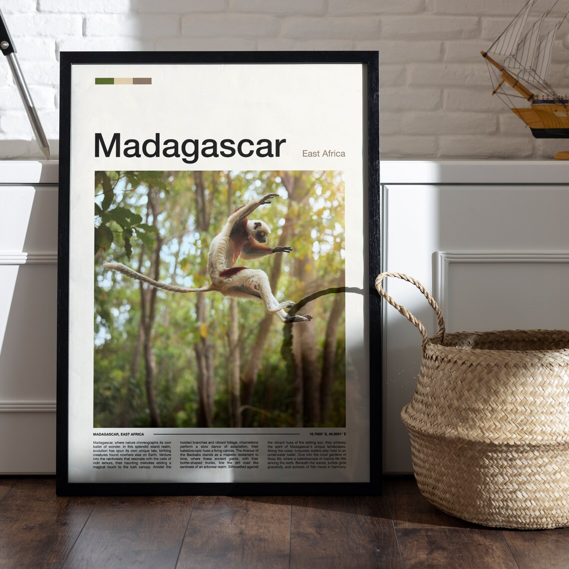 Madagascar Leaping Sifaka Lemur Forest Wildlife Photography Poster - Image 5