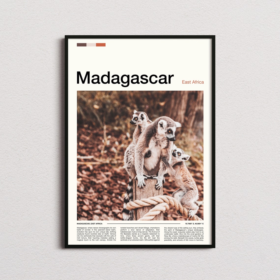Madagascar Ring Tailed Lemur Family Wildlife Photography Poster
