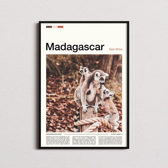 Madagascar Ring Tailed Lemur Family Wildlife Photography Poster