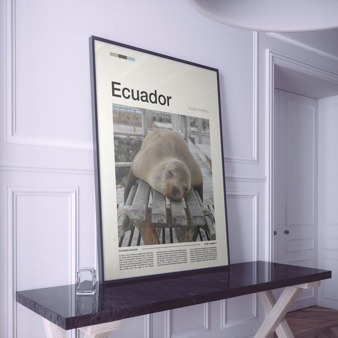 Galapagos Ecuador Sea Lion Wildlife Island Travel Photo Poster - Image 2