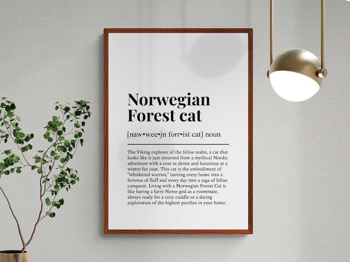 Norwegian Forest Cat Funny Dictionary Definition Minimalist Wall Art Print - Image 3