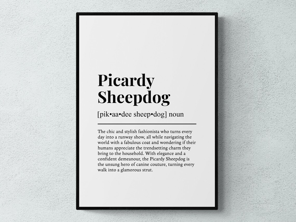 Picardy Sheepdog Funny Definition Dog Poster