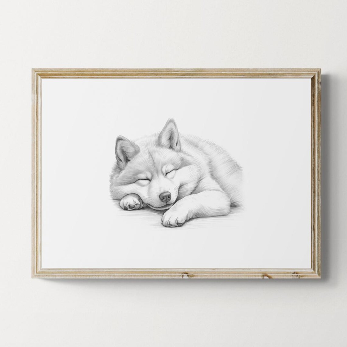 Sleeping Shiba Inu Pencil Sketch Vintage Farmhouse Dog Print