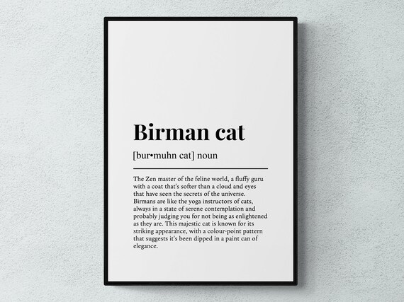 Birman Cat Definition Funny Cat Lover Gift Minimalist Wall Art Poster
