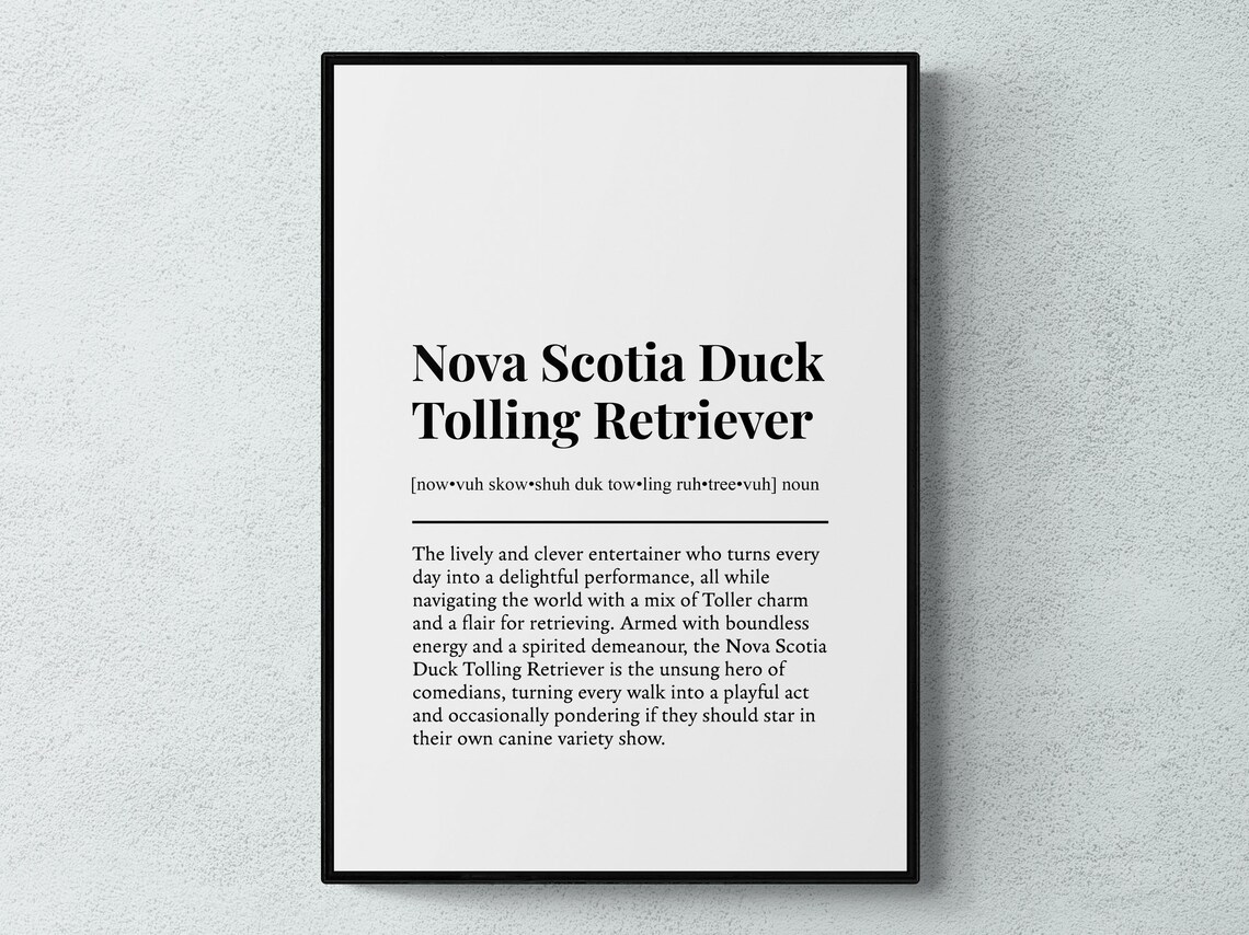 Nova Scotia Duck Tolling Retriever Funny Definition Art Print