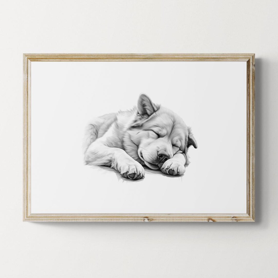 Sleeping Akita Black and White Pencil Sketch Fluffy Dog Portrait Print
