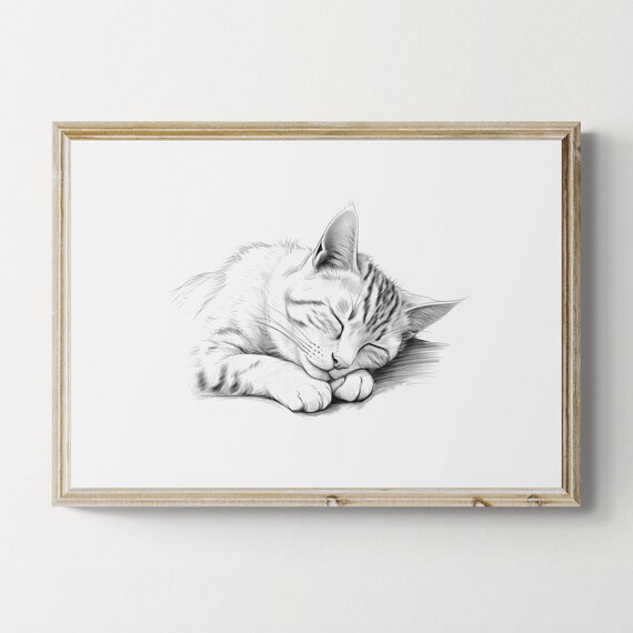 Sleeping Abyssinian Cat Sketch Black White Farmhouse Decor Art Print