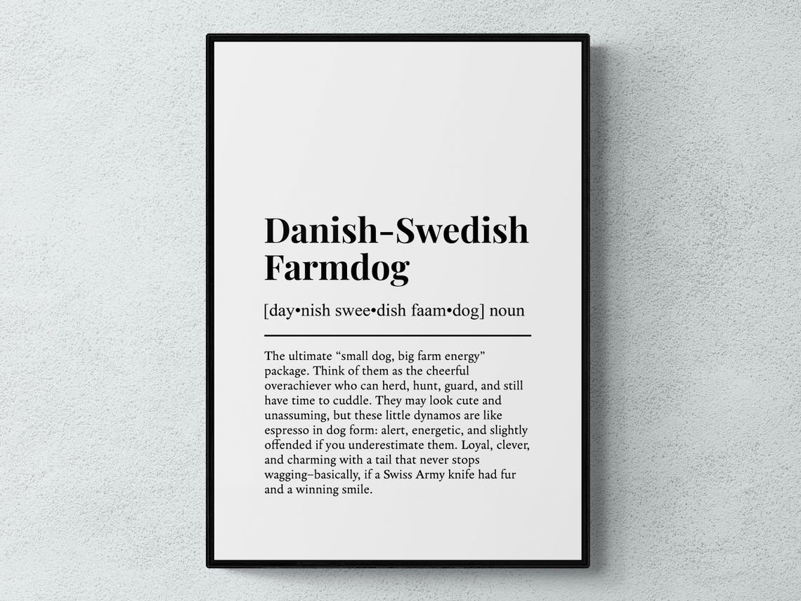 Danish Swedish Farmdog Funny Dictionary Definition Dog Lover Poster
