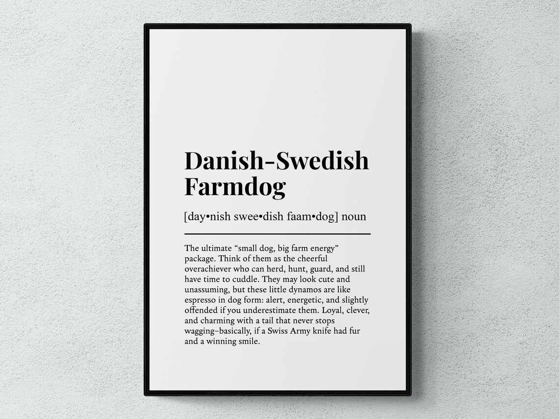 Danishswedish Farmdog Funny Definition Dog Wall Art Print