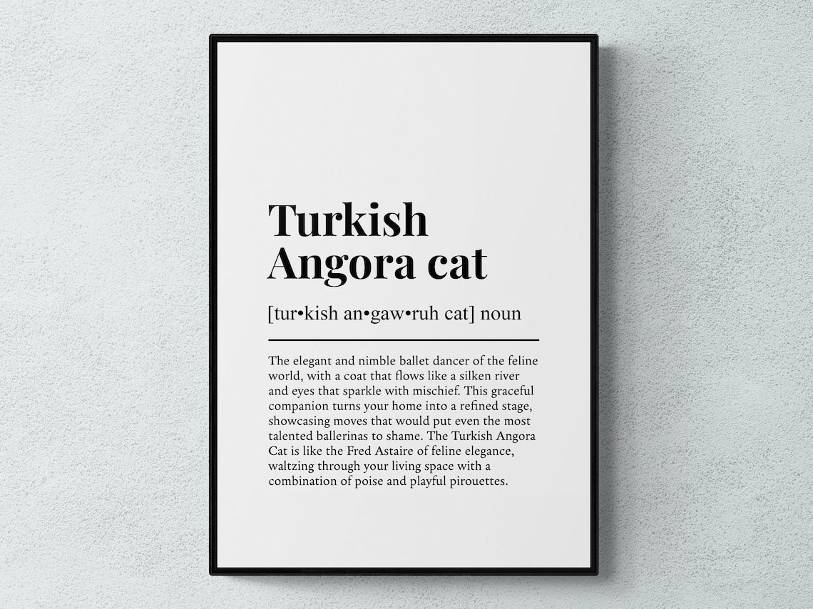 Turkish Angora Cat Funny Definition Breed Print Feline Lover Gift Wall Art Poster