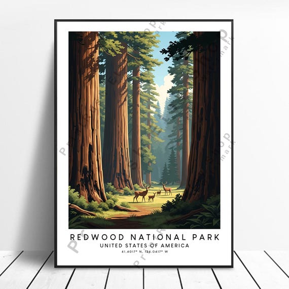 Redwood National Park Poster Illustration Art Wall Dcor Travel Print Landscape Hanging Nature Gift