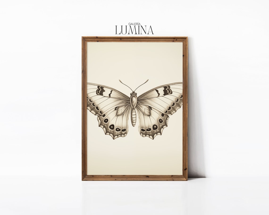 Butterfly Pencil Drawing Vintage Butterfly Wall Art Butterfly Sketch Art Antique Butterfly Print Art Frame Tv Art 053 - Image 3