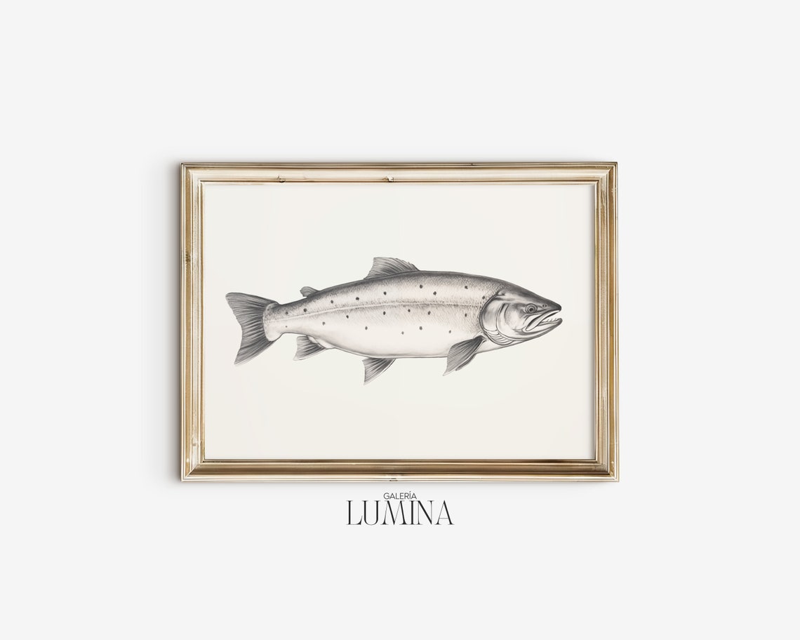 Minimalist Salmon Fish Pencil Drawing Side Profile Sketch Poster - Image 2