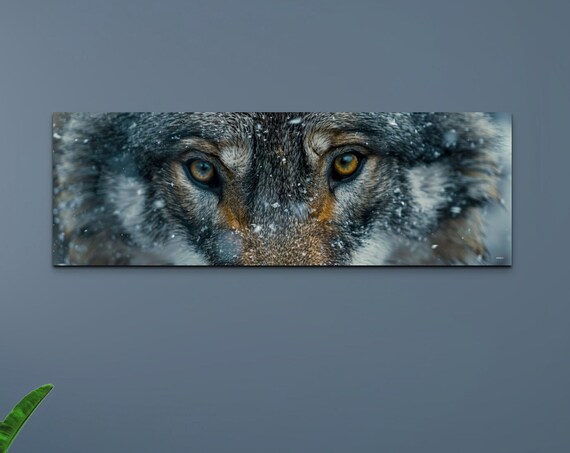 Wolf Face Close Up Amber Eyes Snow Panoramic Wildlife Poster