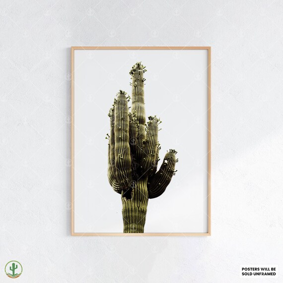 Minimalist Saguaro Cactus Bold Green Desert Photo Poster On White