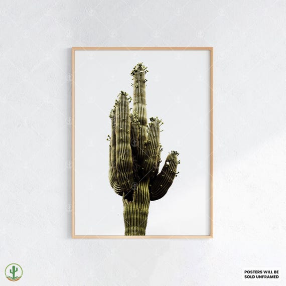 Minimalist Saguaro Cactus Poster Bold Green Desert Print On White Modern Botanical Wall Art For Neutral Decor