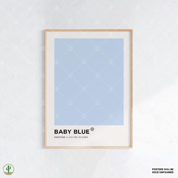 Baby Blue Color Swatch Nursery Wall Art Print Cute Room Decor Animal Kids Poster