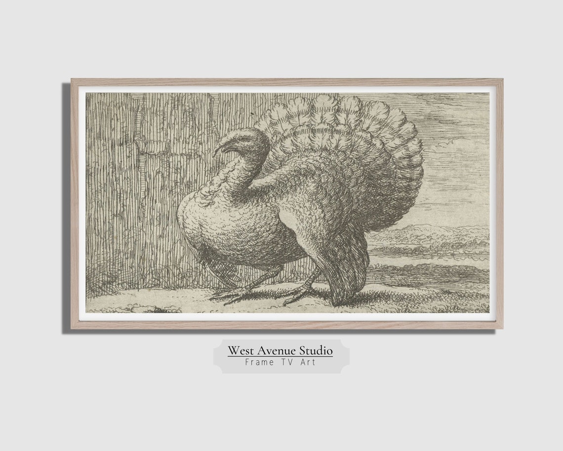 Vintage Turkey Engraving Thanksgiving Sketch Farm Bird Artwork Poster - Image 4
