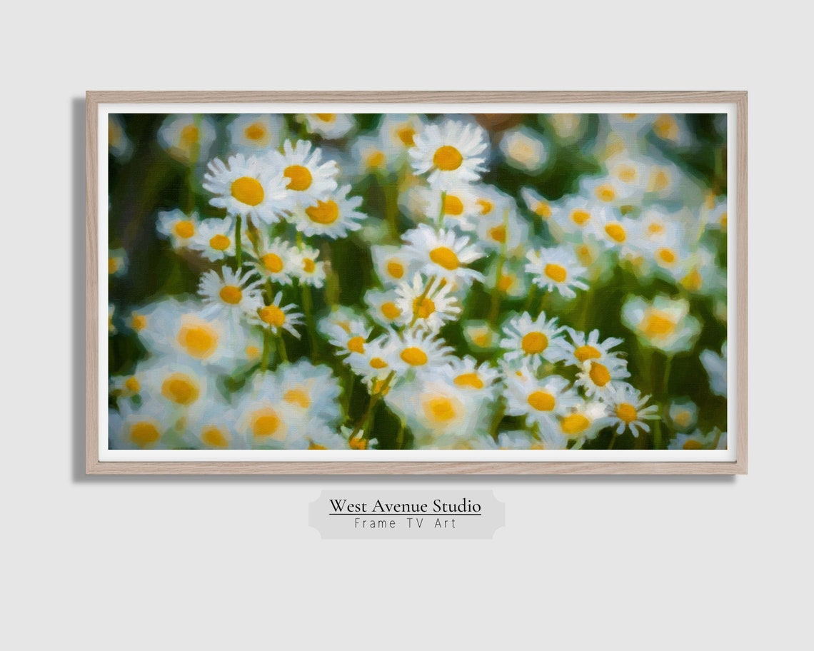 White Daisies Meadow Close Up Spring Flower Field Photography Poster - Image 4