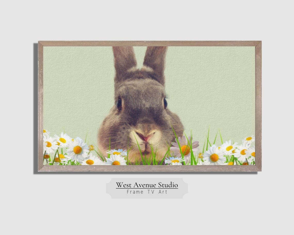 Easter Bunny Face Daisies Close Up Cute Spring Animal Photo Poster