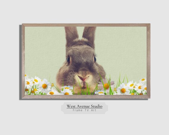 Easter Bunny Face Daisies Close Up Cute Spring Animal Photo Poster